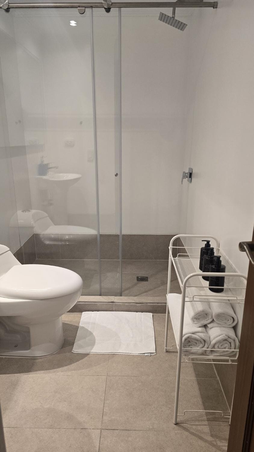 Shower, Toilet, Bathroom, towels