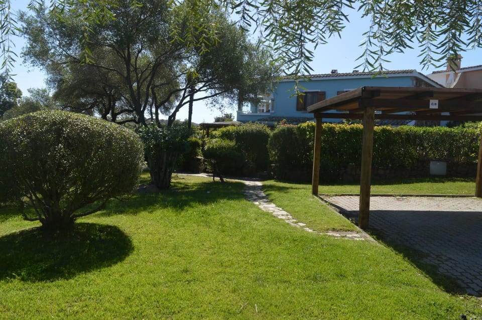 Natural landscape, Garden, Garden view