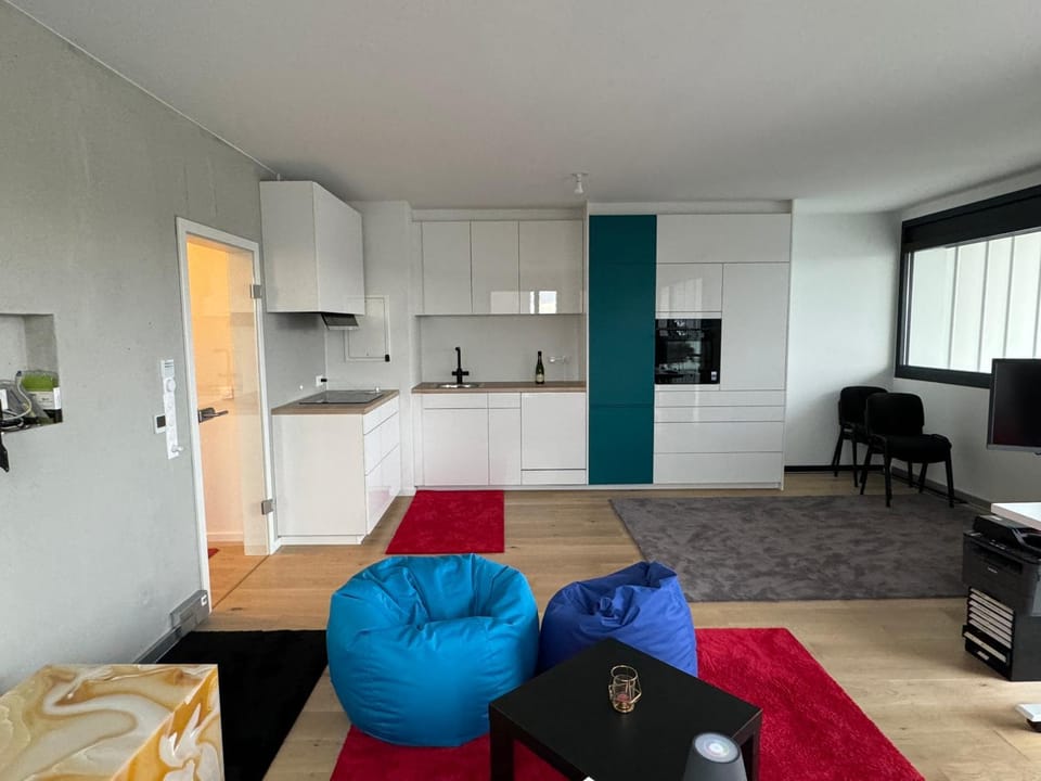 Wohlfühloase 50m über dem Rhein Apartment in Weil am Rhein