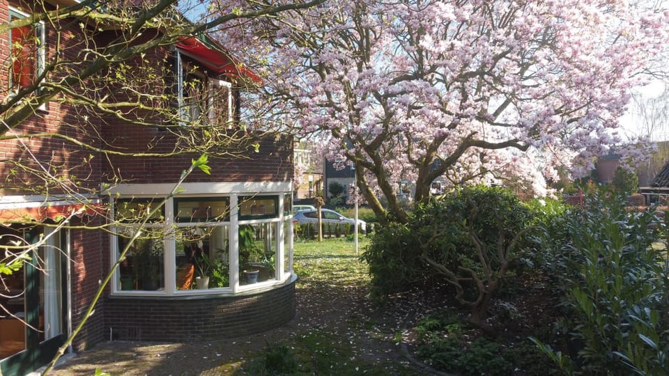 Property building, Spring, Garden