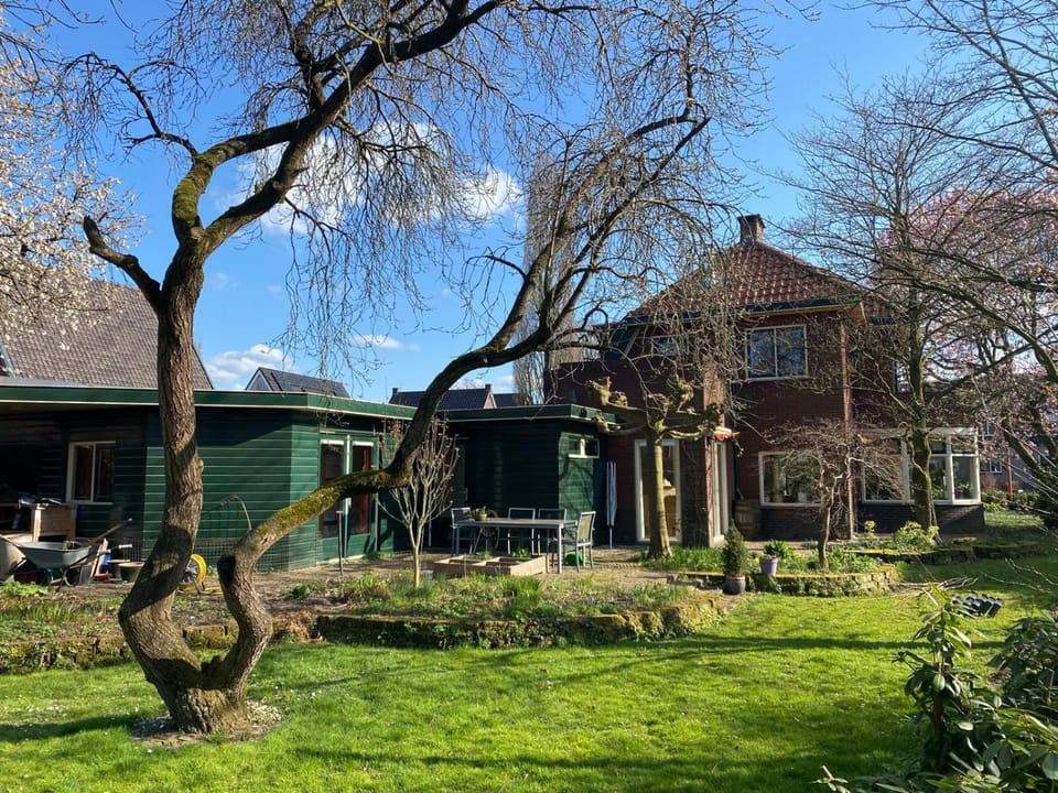 Property building, Garden view