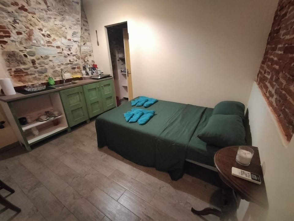 Bed, Kitchen or kitchenette, Living room, Photo of the whole room, Bedroom
