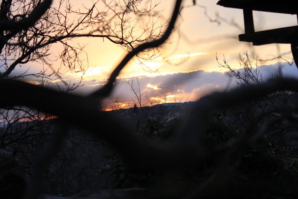 View (from property/room)