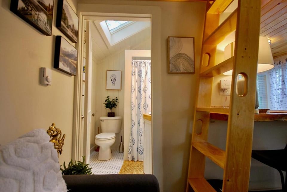 Toilet, Bathroom