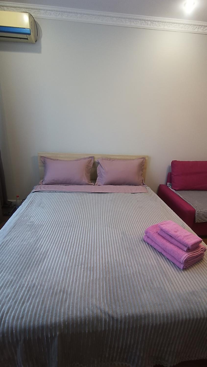 Cozy apartment near Alatau metro station Apartment in Almaty