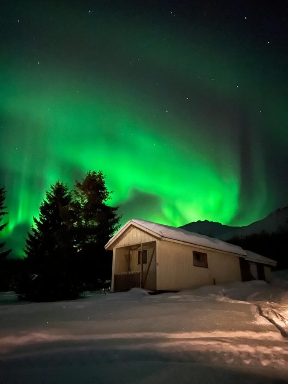 Property building, Night, Winter