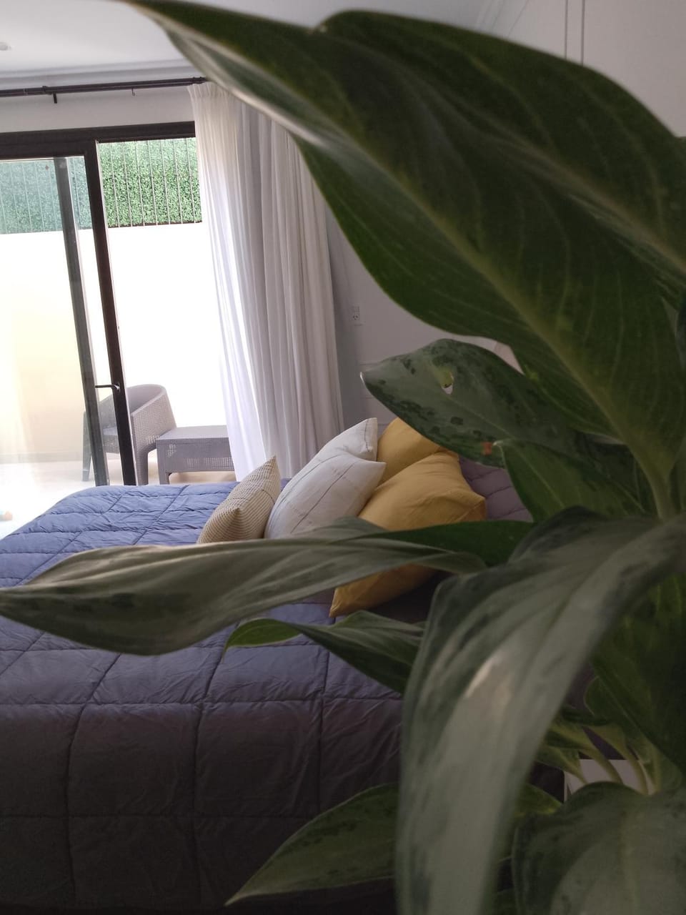 Departamento monoambiente "Pellegrini' en el centro Apartment in Gualeguaychú