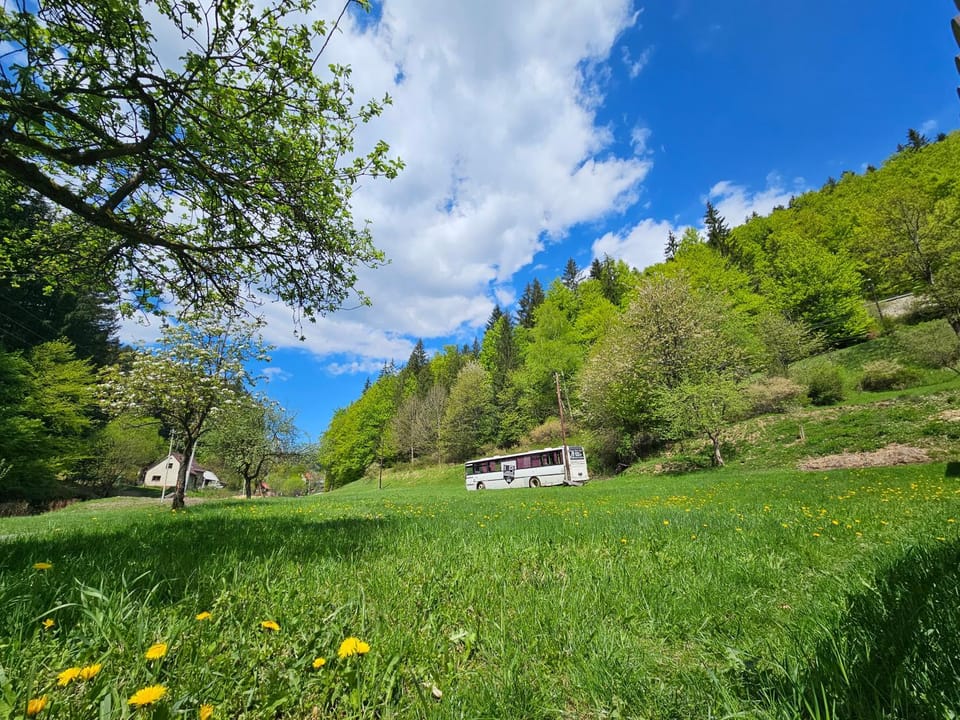 Bed in Bus Campground/ 
RV Resort in Slovakia
