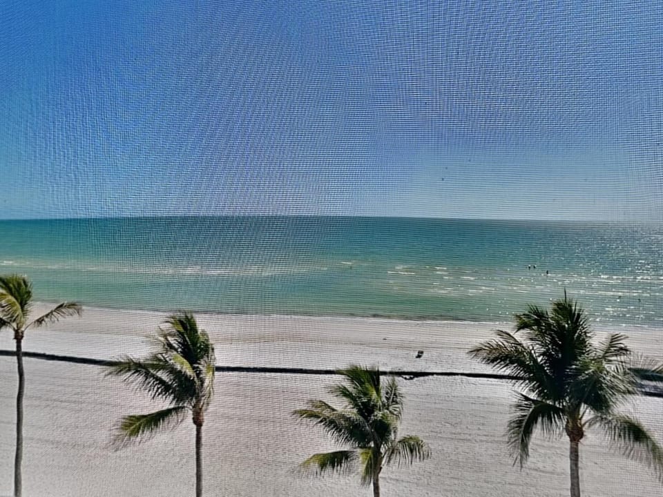Seaside 502 Apartment in Estero Island