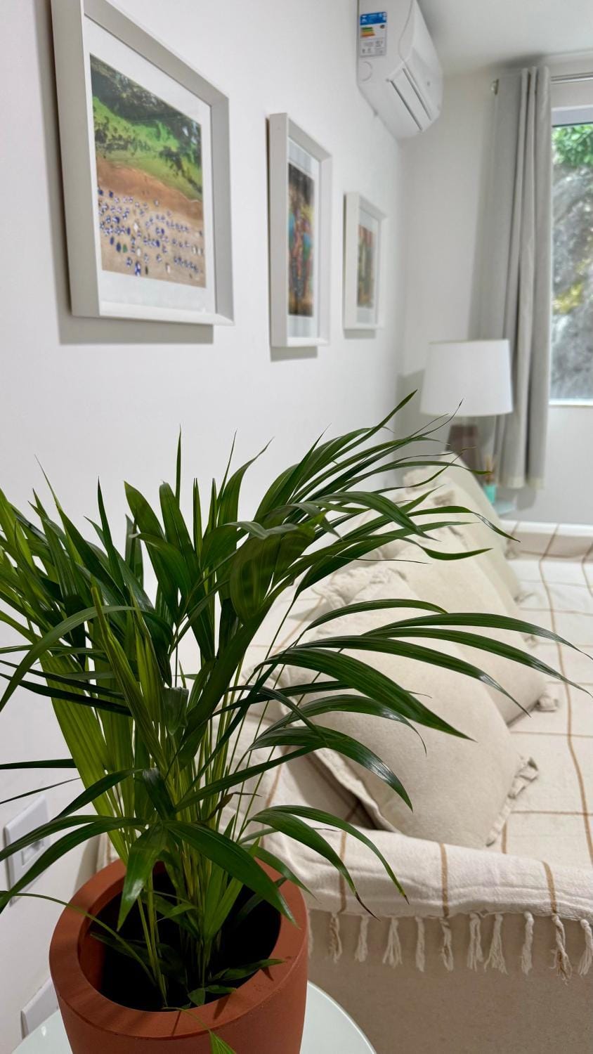 Large and comfortable apartment 3 minutes from Porto da Barra beach, with Wi-Fi 500 MB, close to all stores Apartment in Salvador