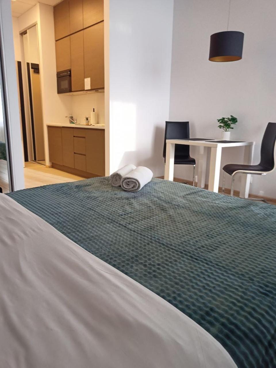Bed, Kitchen or kitchenette, Living room, Photo of the whole room, Seating area, Bedroom