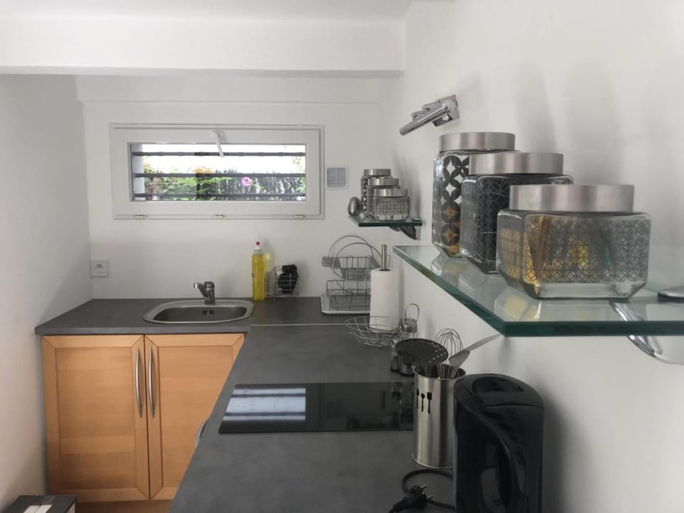 RDJ dans villa Antibes Apartment in Antibes
