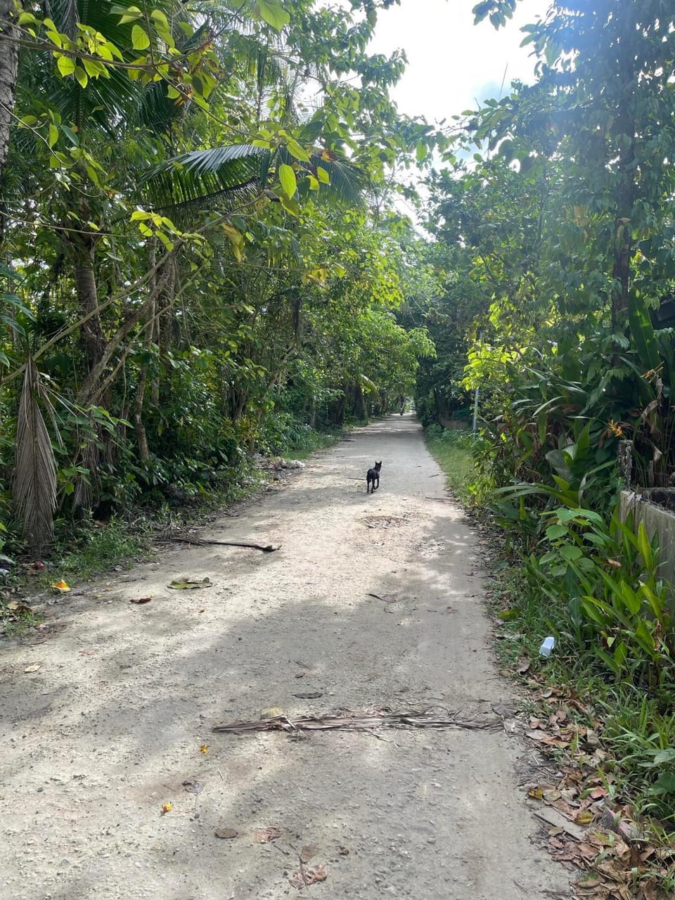 Neighbourhood, Natural landscape