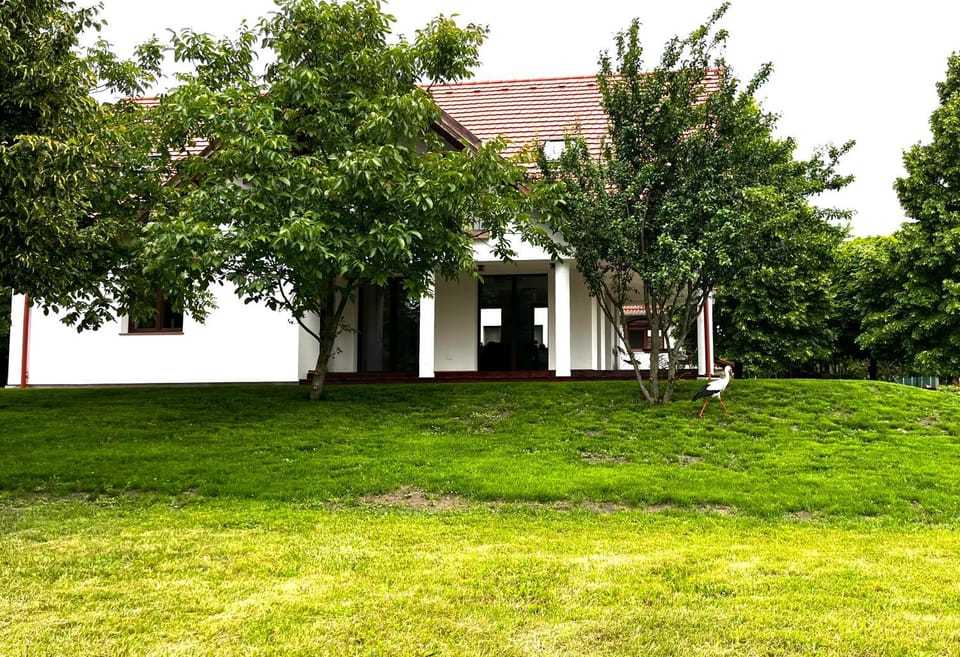 Property building, Natural landscape, Garden, Street view
