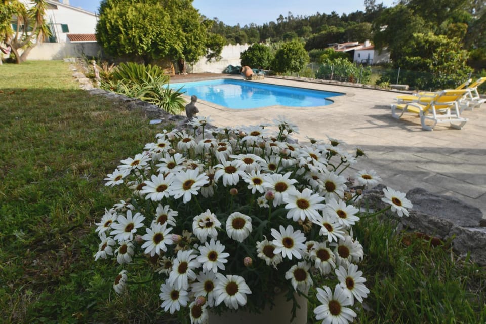 Casa do Sol Wellness Homestay Villa in Óbidos