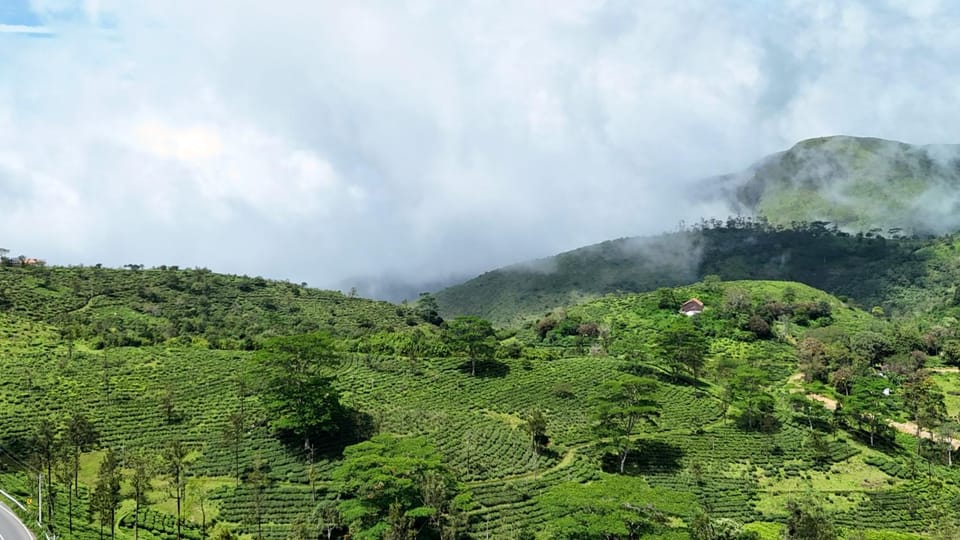 Natural landscape, View (from property/room), Other