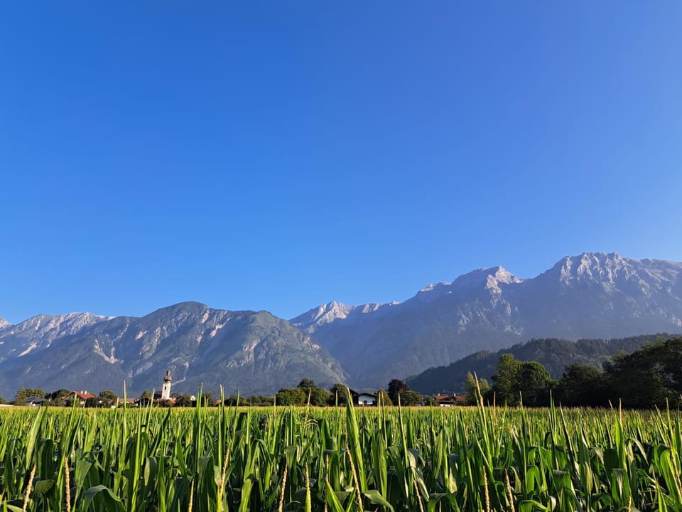 Gasthof Tiefenthaler Bed and Breakfast in Tyrol