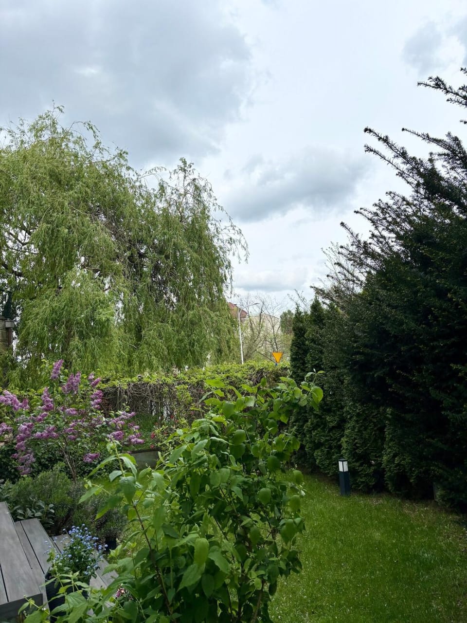 Natural landscape, Garden, Garden view