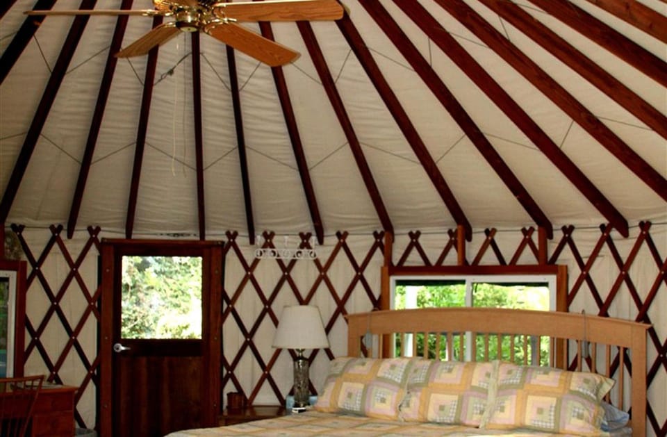 Tree House Yurt in Austin, Texas, Perfect for a Glamping Getaway House in Rio Grande