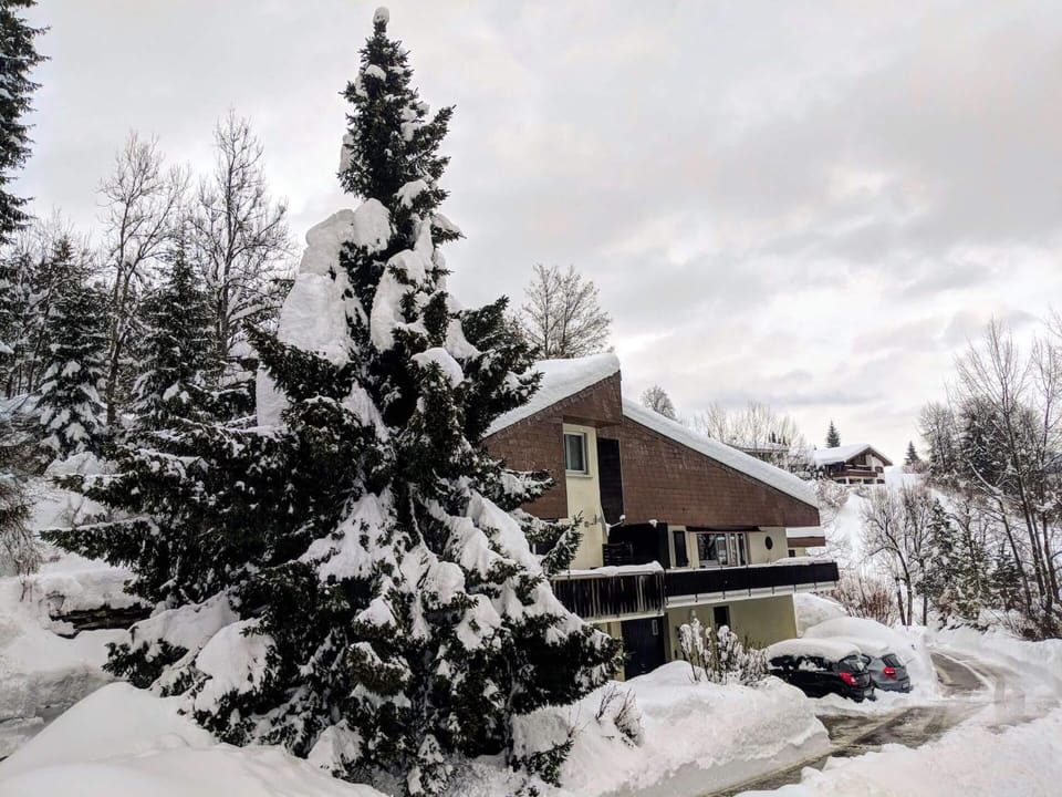 Property building, Natural landscape, Winter
