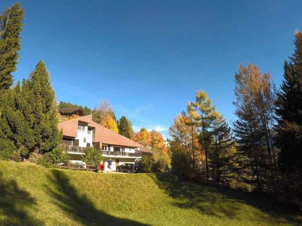 Property building, Natural landscape