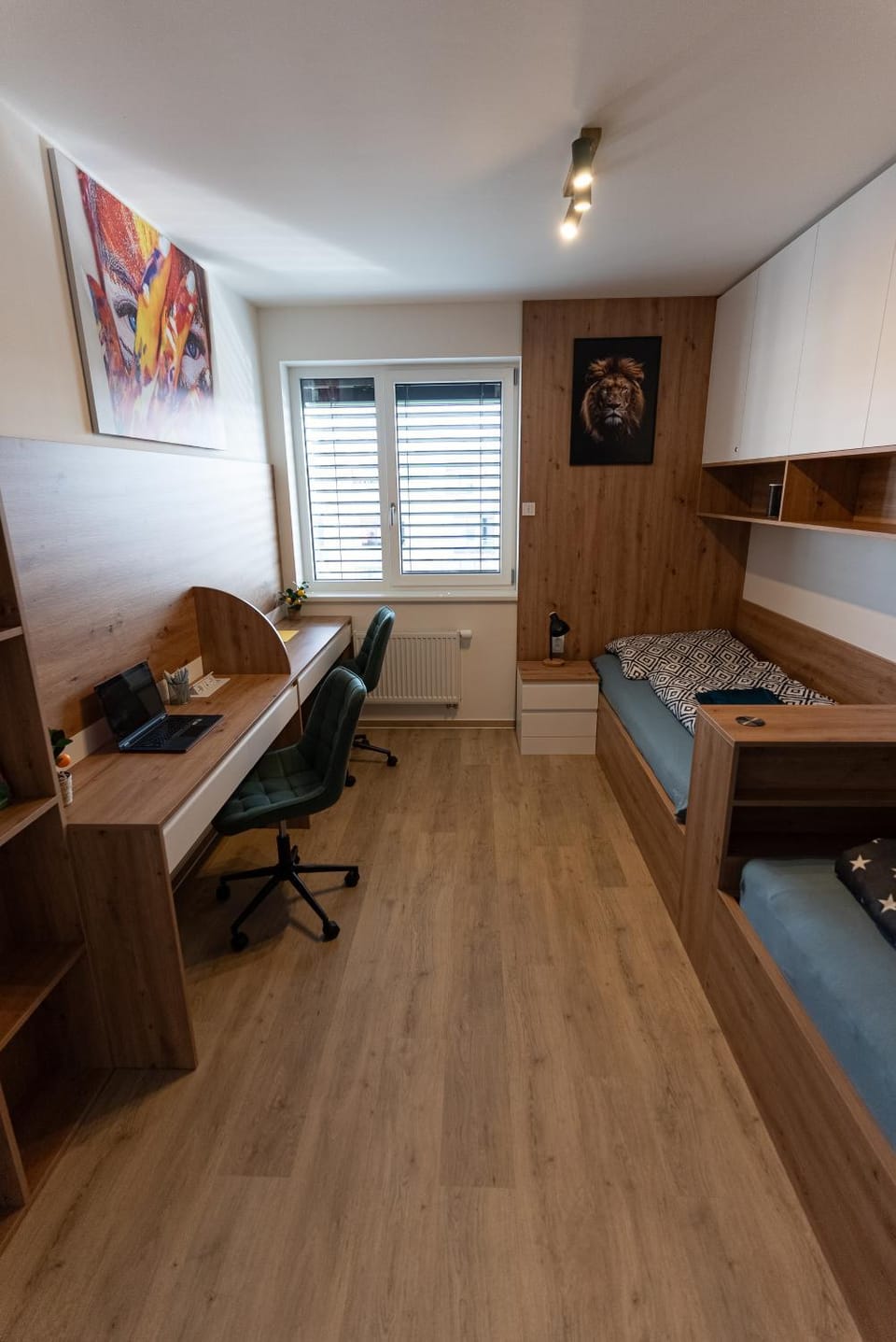 Photo of the whole room