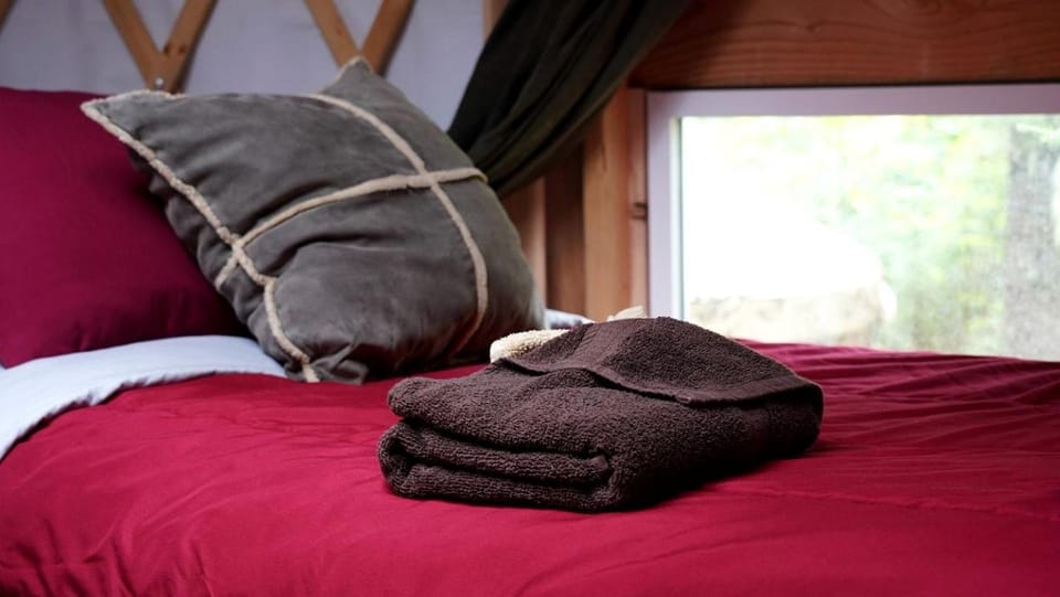 Nature Escape in an Alaskan Glamping Village for Family Fun Luxury tent in Alaska