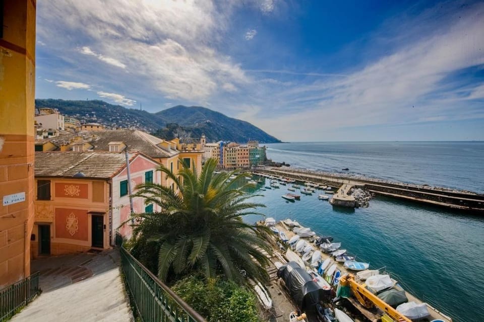 City view, Sea view