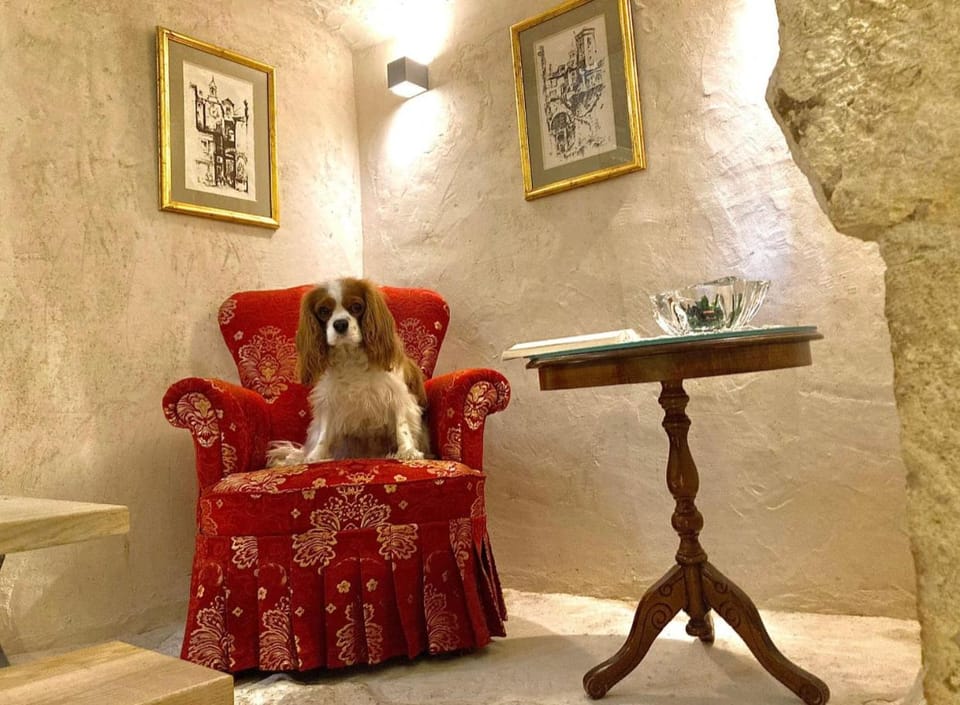 Living room, Seating area, Pets