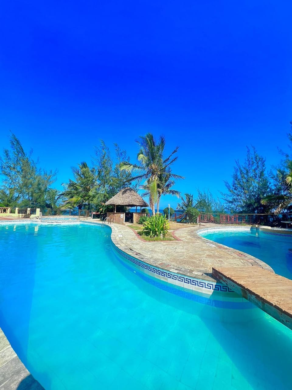 Spa and wellness centre/facilities, Swimming pool