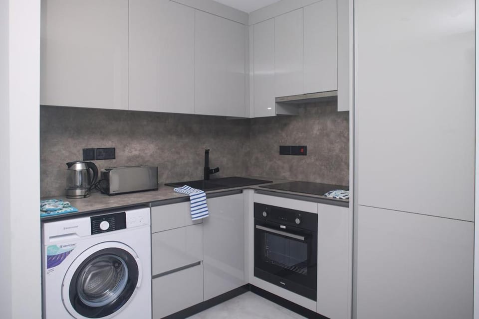Kitchen or kitchenette, oven, stove, toaster, washing machine