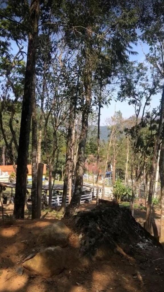 Chalé do Zeh Parque Nacional Itatiaia Chalet in State of Rio de Janeiro
