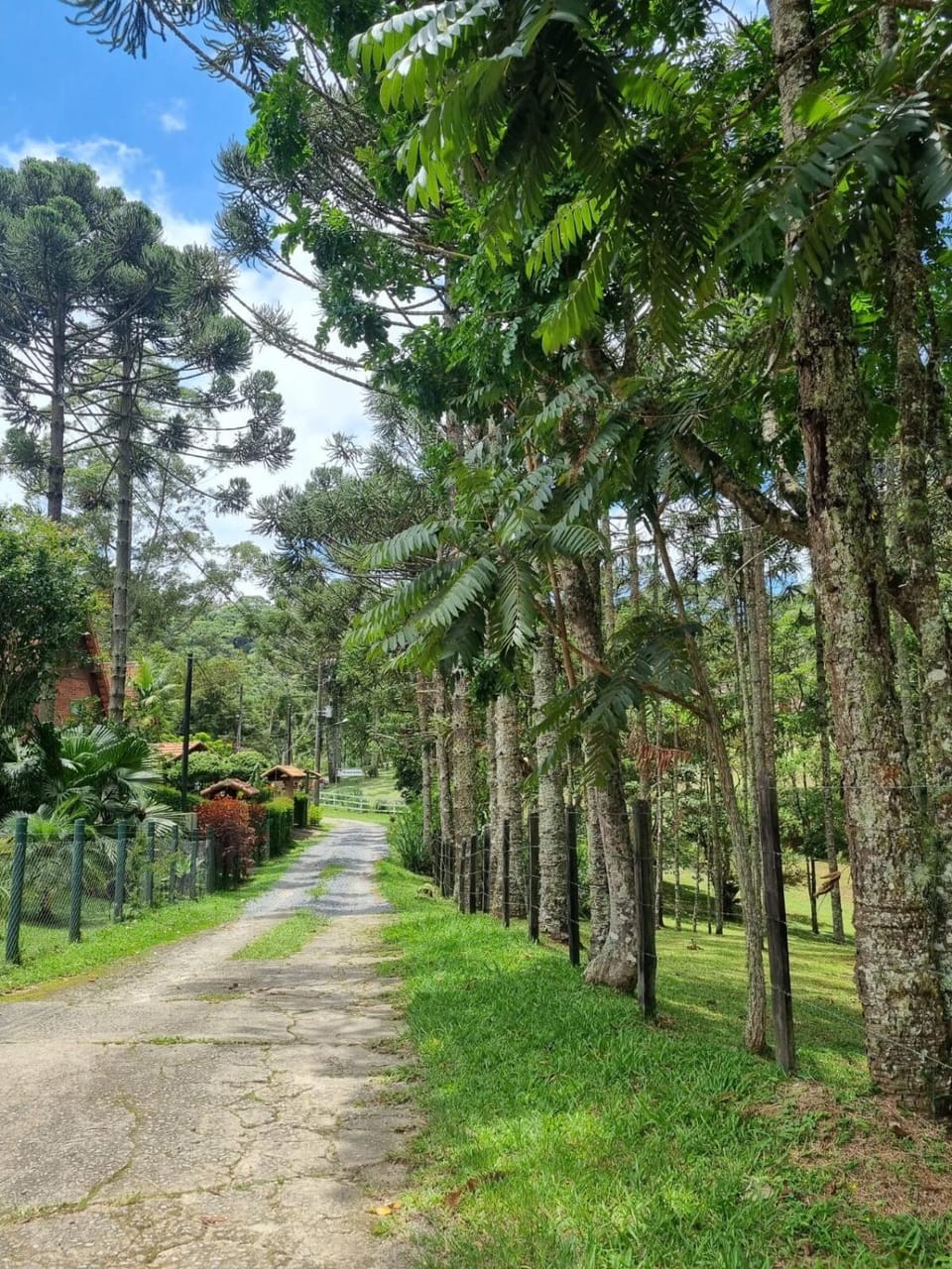 Chalé do Zeh Parque Nacional Itatiaia Chalet in State of Rio de Janeiro