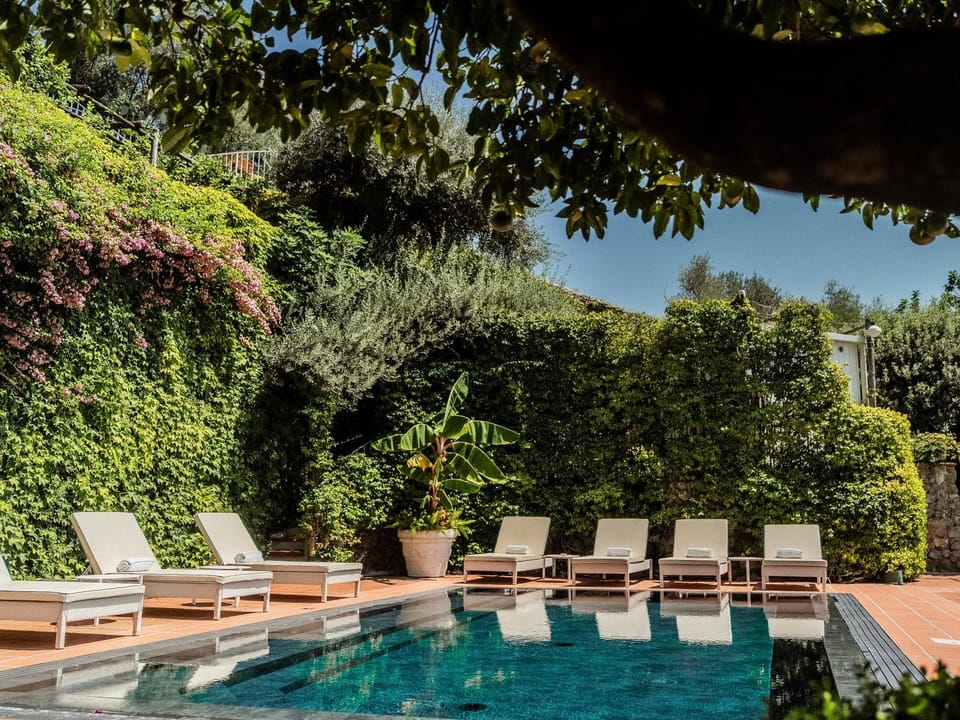 Patio, Spring, Day, Natural landscape, Garden, Garden view, Pool view, Swimming pool, sunbed