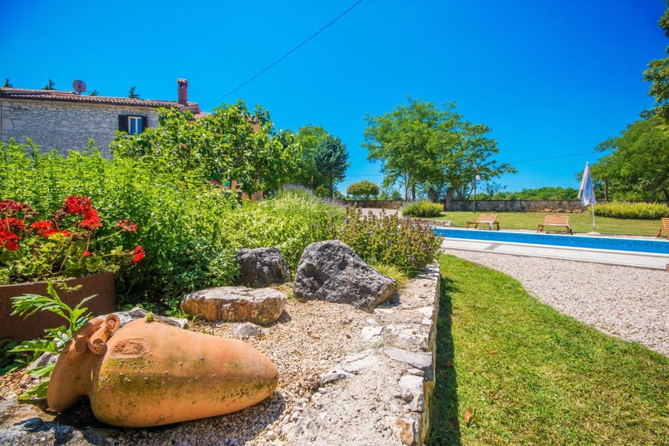 Day, Garden, Garden view, Pool view, Swimming pool