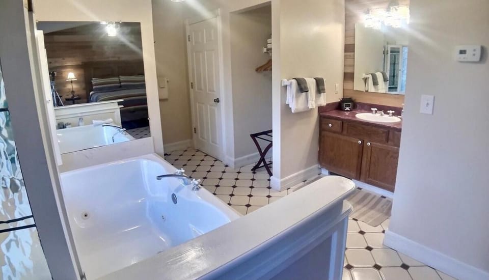 Ozark Spring Cabin Rock Bluff 03 King Bed Spa Tub Cabin in Carroll County