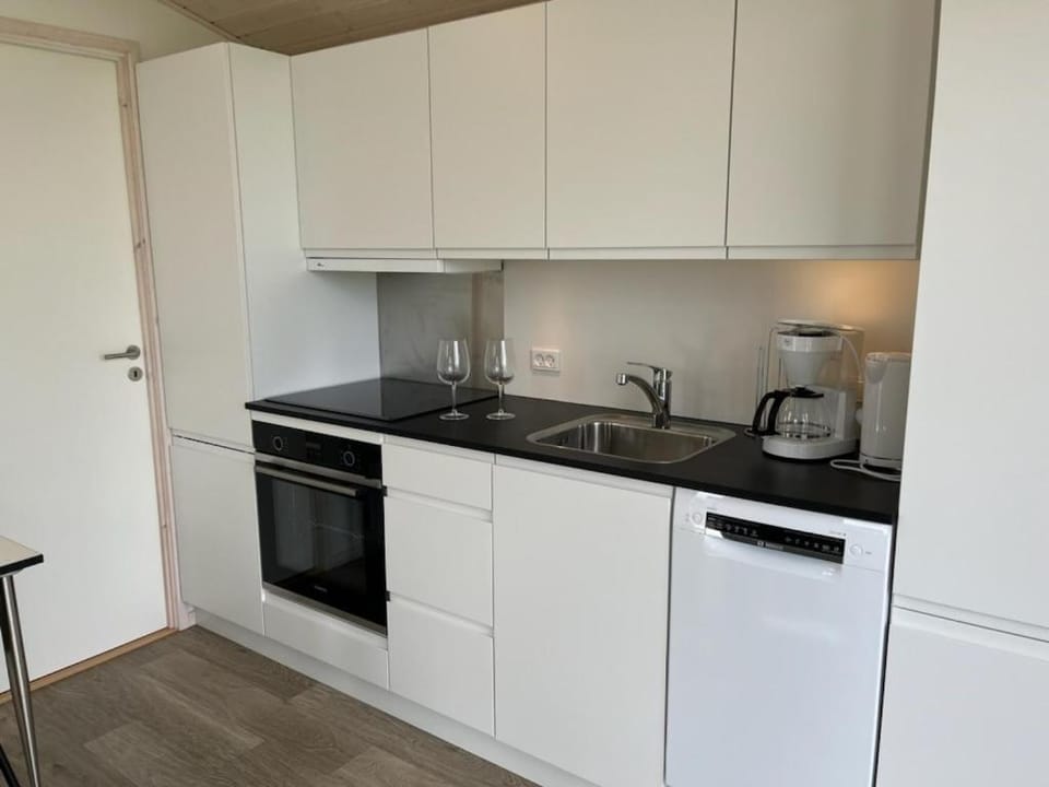 Kitchen or kitchenette, dishwasher, stove