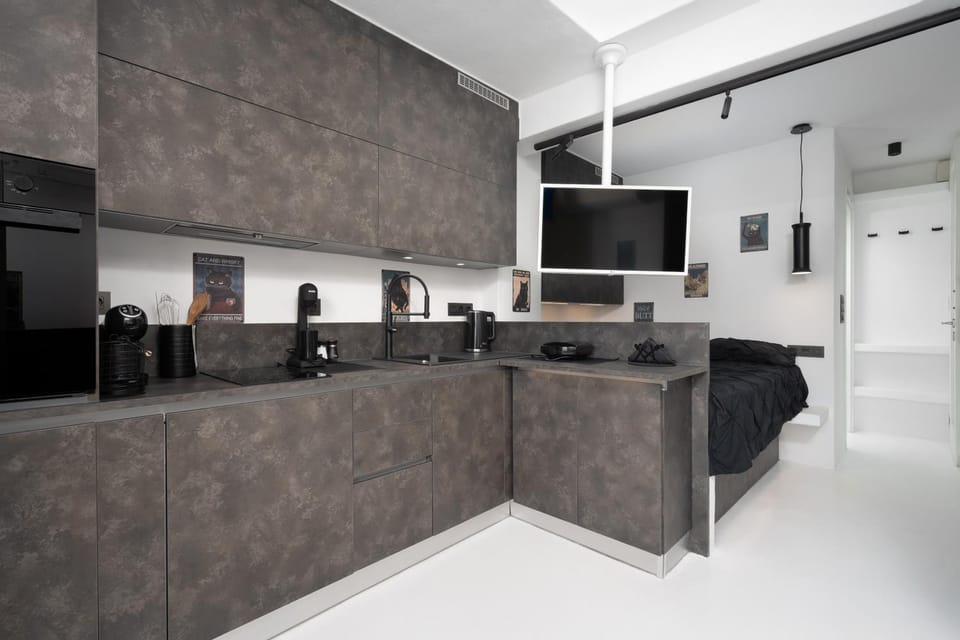 Kitchen or kitchenette, kitchen