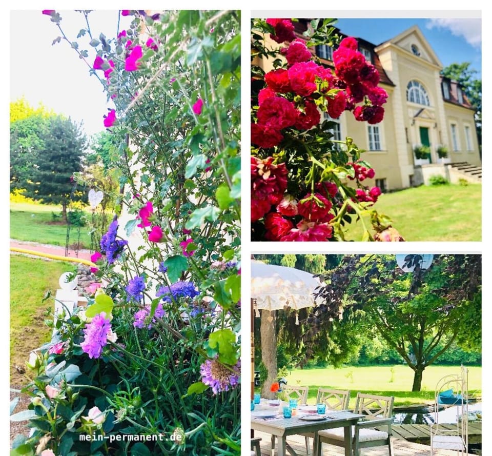 Bauernhofvilla nur für Frauen Woman only Apartment in Saxony-Anhalt, Germany