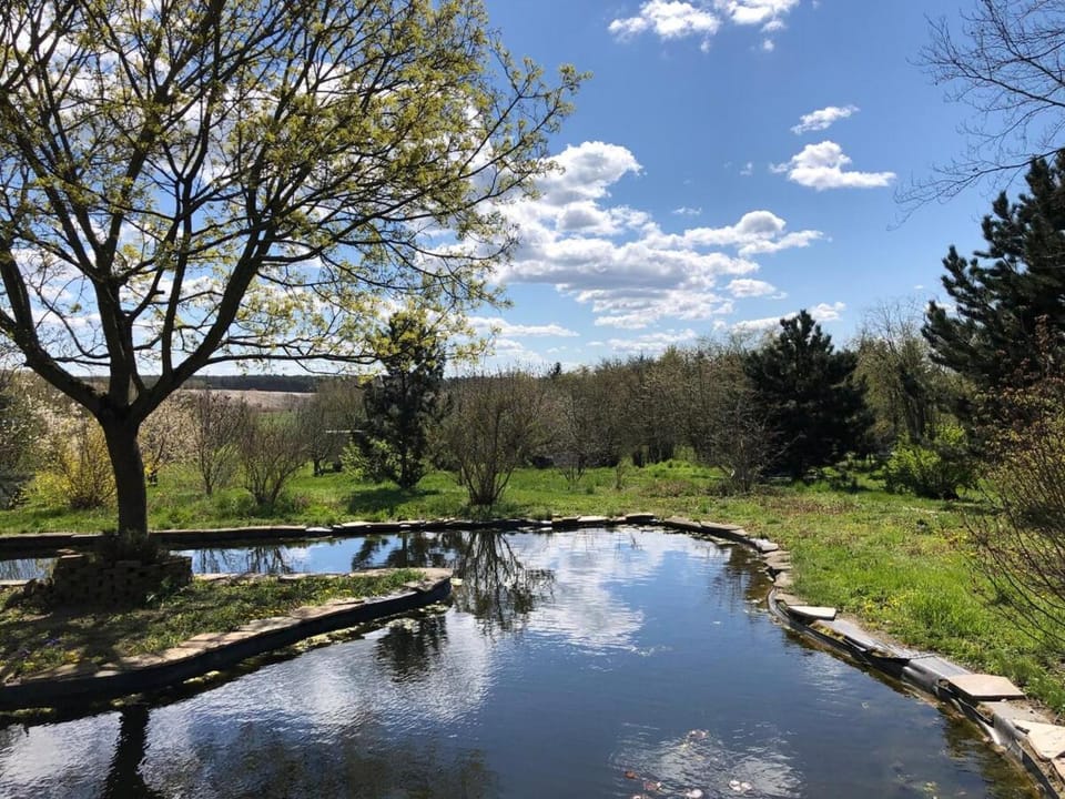 Spring, Natural landscape