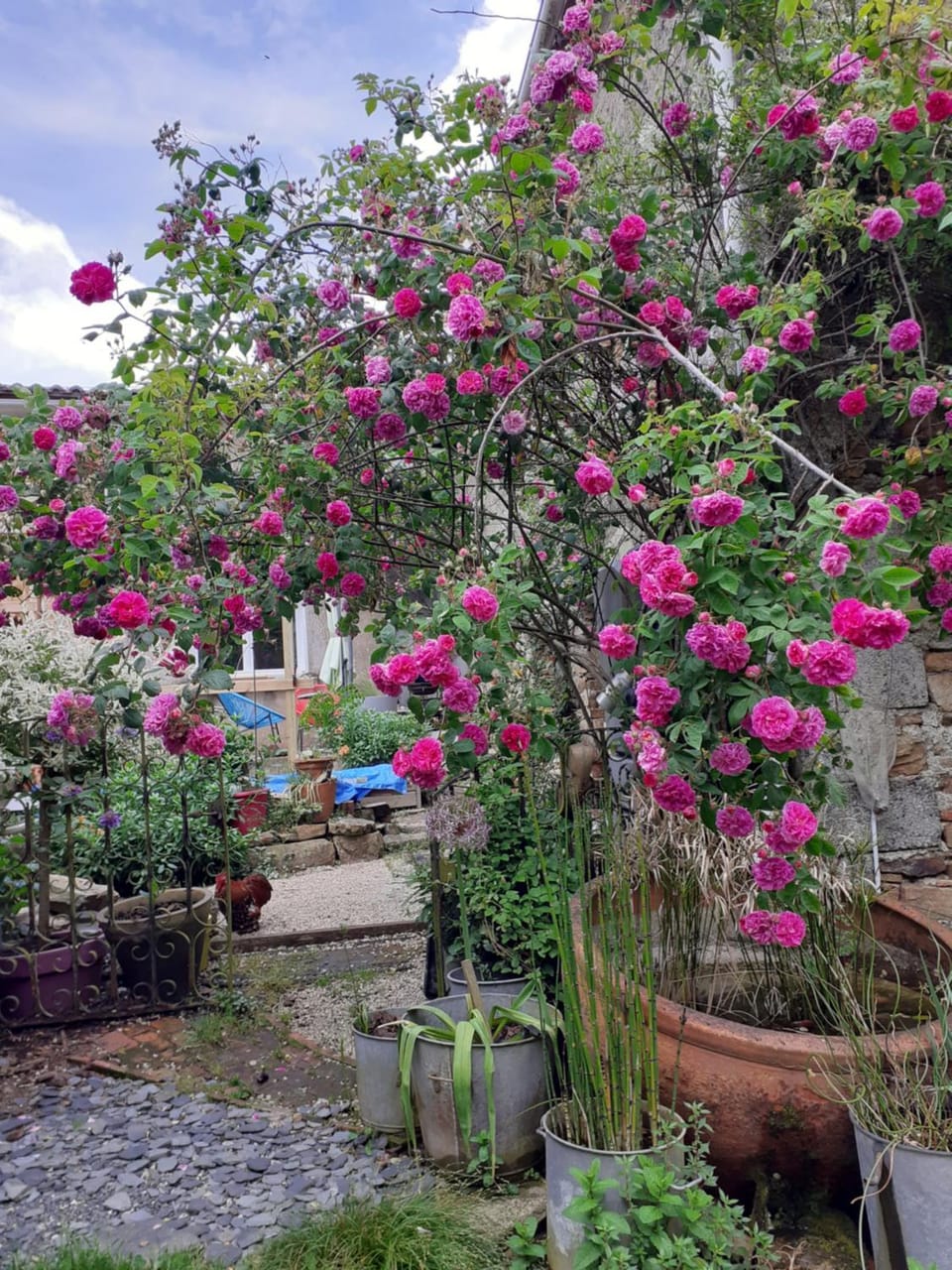 Garden view