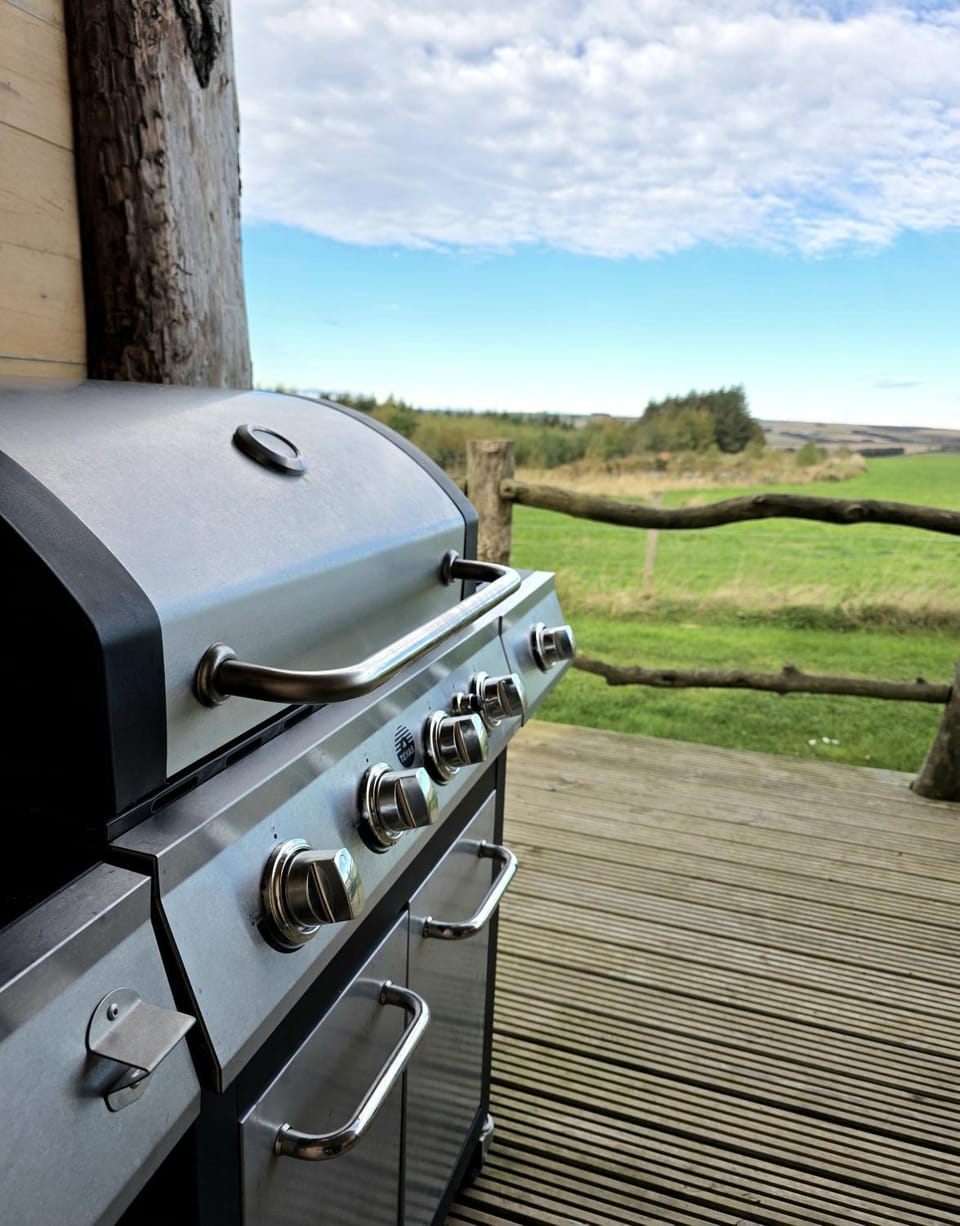 Natural landscape, BBQ facilities