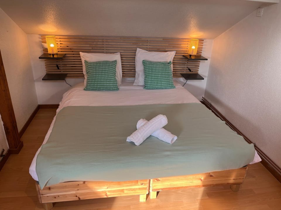 La Suite Mulhouse, Accès Bâle 20min, Proche Gare TGV Apartment in Mulhouse