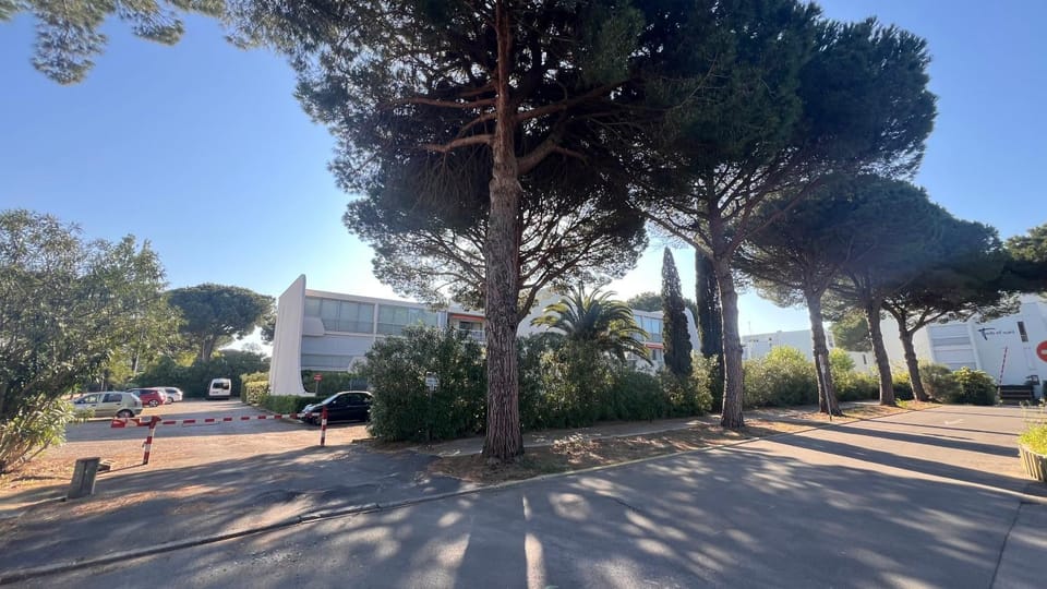 Spring, Day, Neighbourhood, Street view
