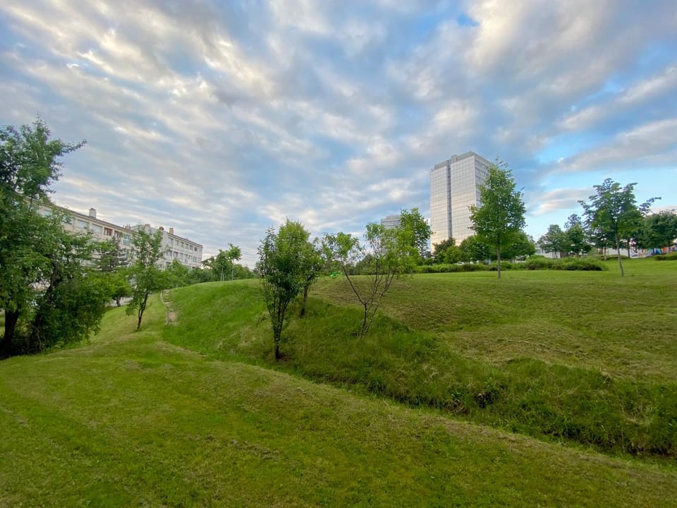 Natural landscape, Garden view