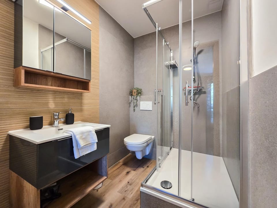 Shower, Toilet, Bathroom, towels