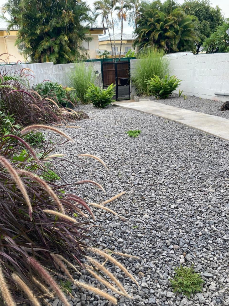 Garden view