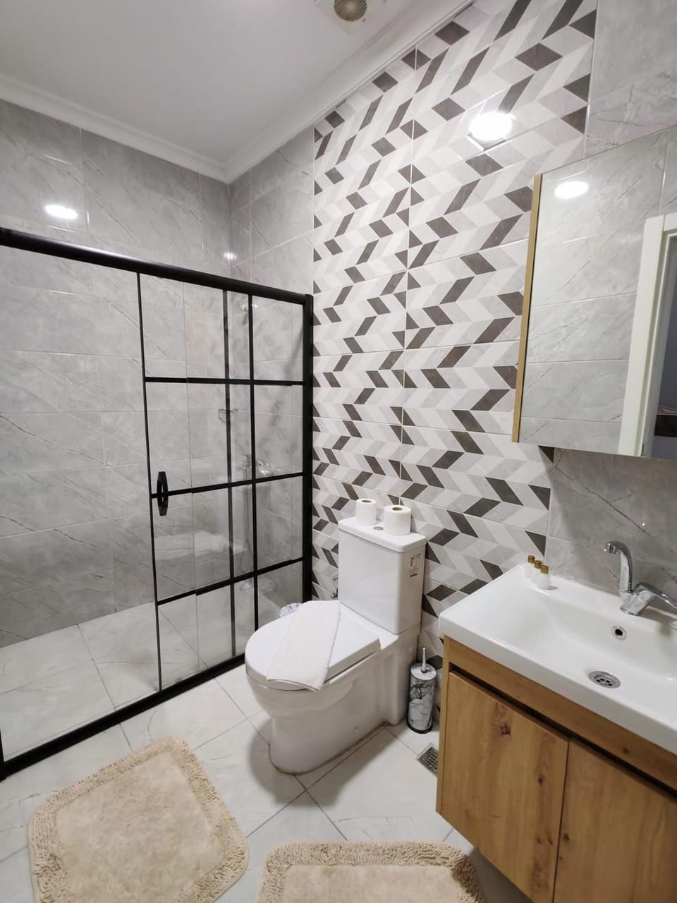 Shower, Toilet, Bathroom, towels