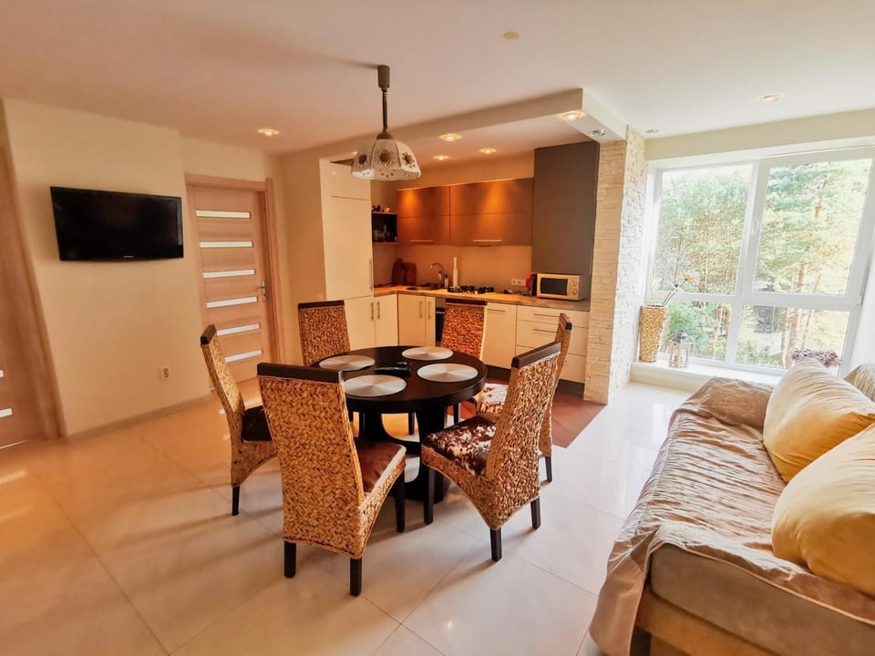 Kitchen or kitchenette, Living room, Dining area