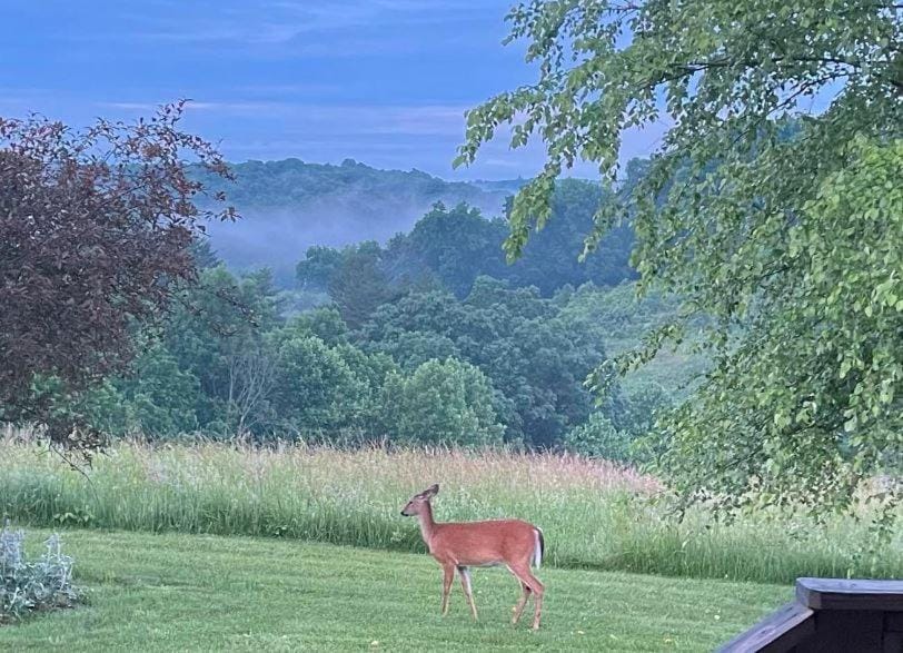 Deer Run - by The Chalets House in Logan